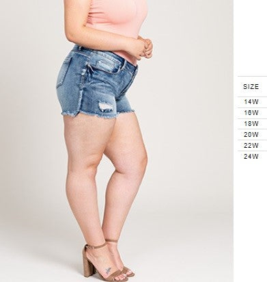 Jean - Shorts Ripped (Wide Fit)