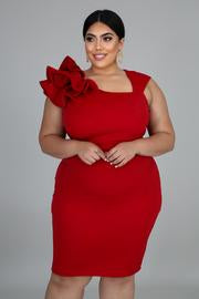 Dress -Cabernet